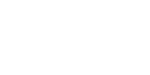 Falcon Labs